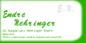 endre mehringer business card